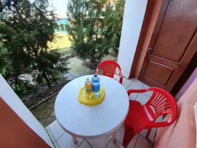 Фанни Вероника - 51