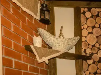 Беловежское Поместье - 101