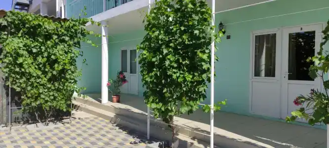 Оазис - 8