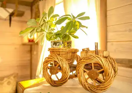 Беловежское Поместье - 148