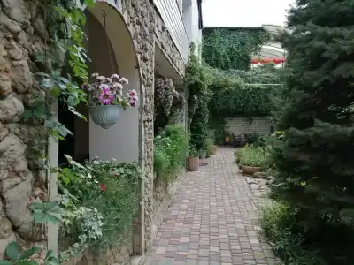 Виола - 4