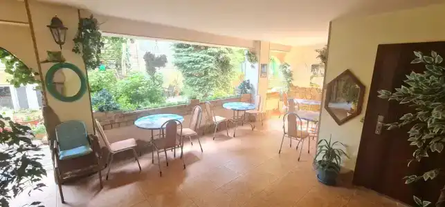 Виола - 20