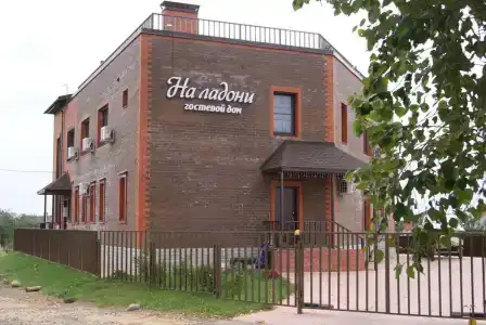 НаЛадони - 1