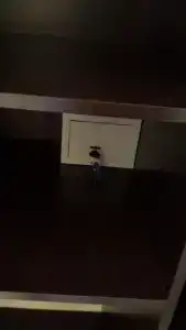 Жемчуг - 35