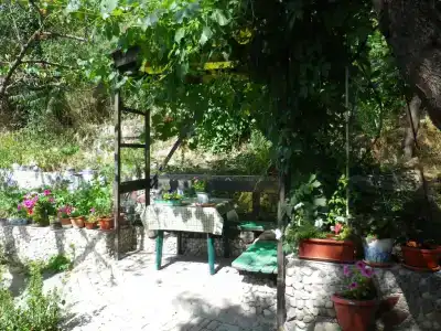 Кристина - 12