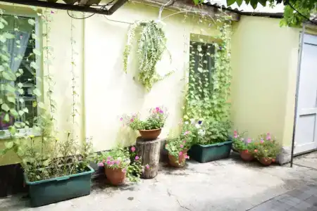 Гостевой дом у Наталии - 24