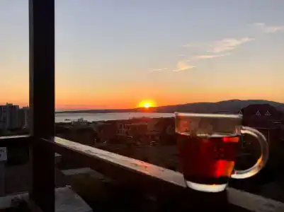 Green Line - 16