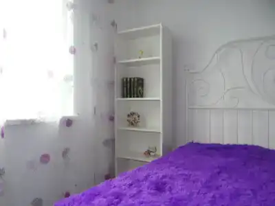 Шерлок Холл - 0