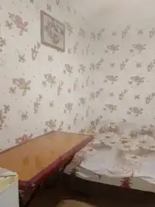 Береговой - 15