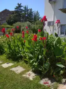 У Светланы - 2