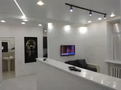 Шикарные апартаменты 2 - 4