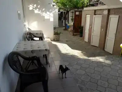 РодМар - 24