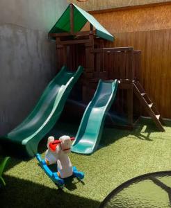 Wood Topal - 10