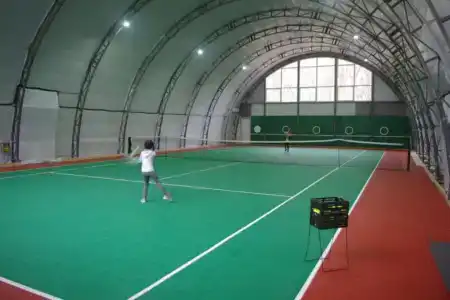 Ace - 5
