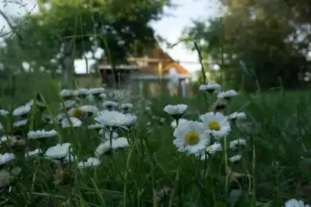 Варваринский - 2