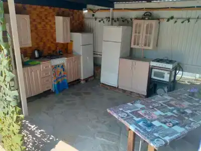 Янтарь - 25