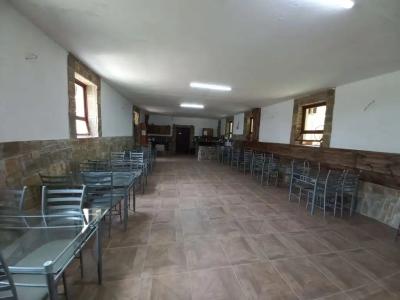 Фламинго - 25