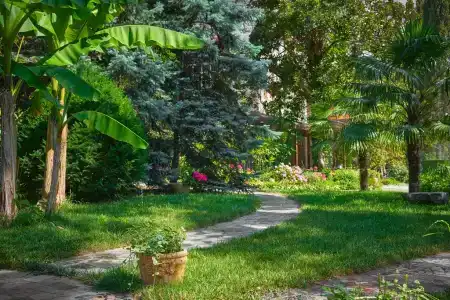 Муссон - 15