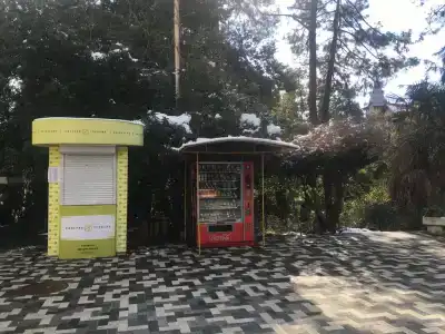 Joy - 1