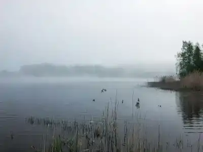 Дуплекс 3 - 9