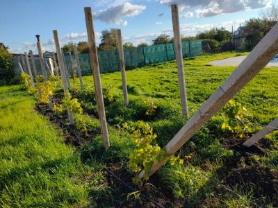 Усадьба Приморское - 23