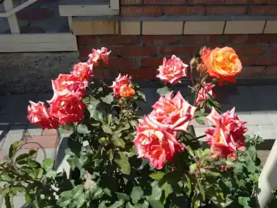 на Первомайской - 3