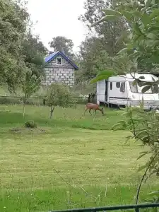 Дом на Куршской косе - 11