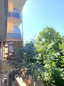 Дельфинчик - 2