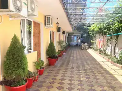 Дельфинчик - 3