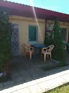 Лаванда Пересыпь - 1