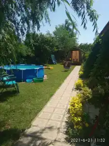 Лаванда Пересыпь - 6