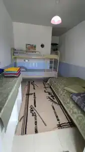 Лаванда Пересыпь - 8