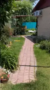 Лаванда Пересыпь - 16
