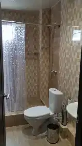 Фиеста - 85