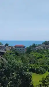 София - 1