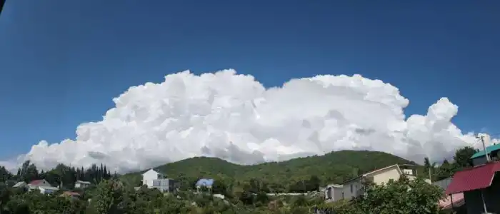 София - 16