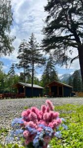 Solu Chalet - 0