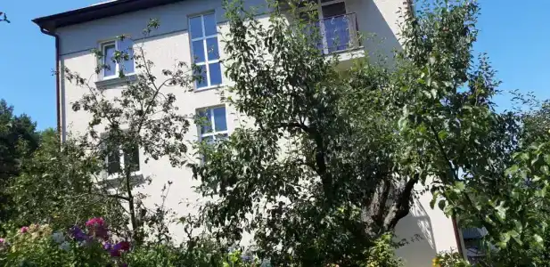 Вита - 3