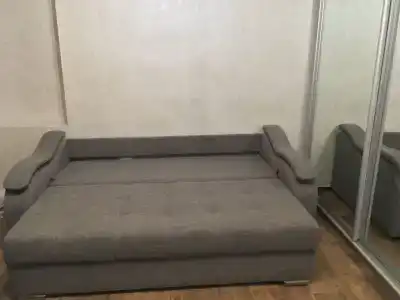 Пальма - 14