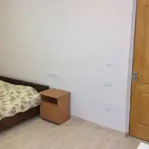 Пальма - 27