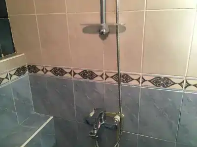 Пальма - 22