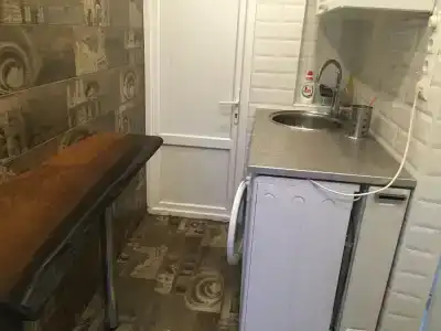 Пальма - 52