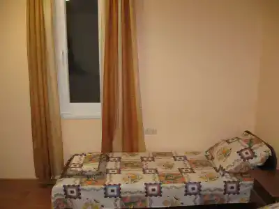 Пальма - 57
