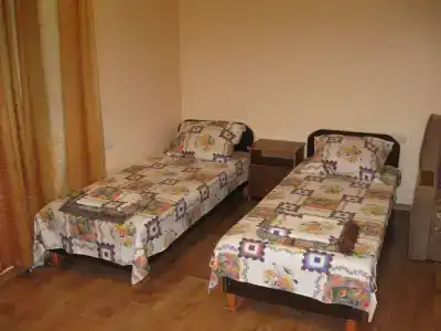 Пальма - 58