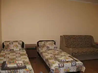 Пальма - 59