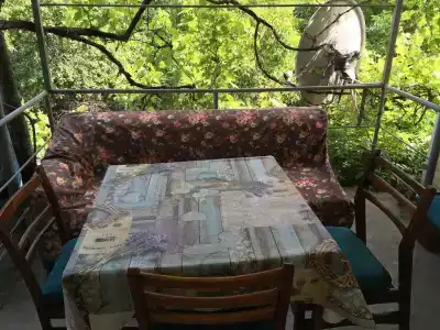 Пальма - 68
