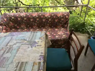 Пальма - 67