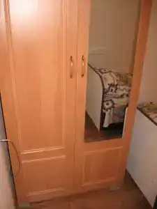 Пальма - 79