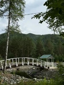 АлтайГрин - 7