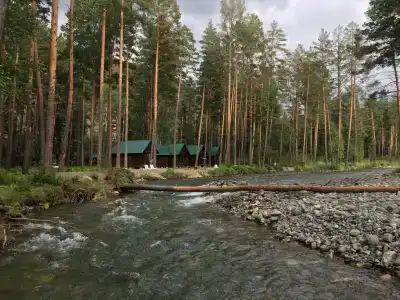 АлтайГрин - 14
